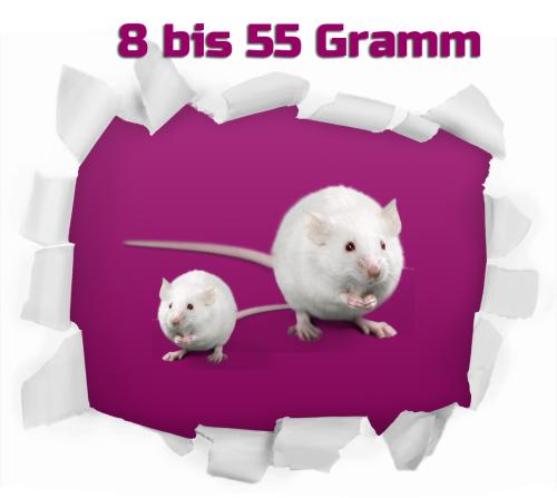 Mix-Maus 8-55g nur weiß/weiß 1,0 kg