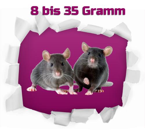 Mix-Maus 8-35g nur schwarz/braun 1,0 kg