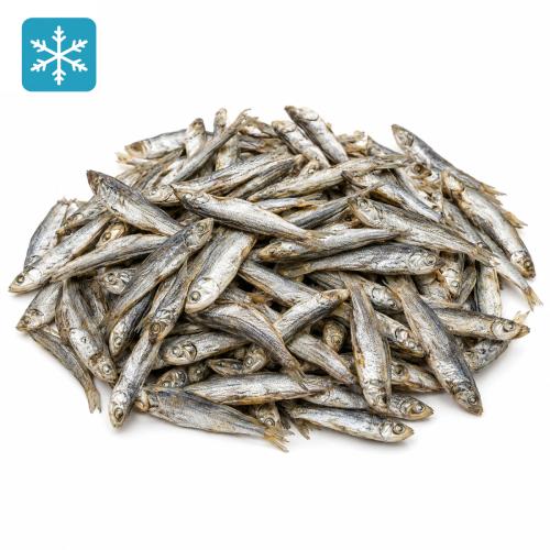 Sprotten lose ca. 8 cm 1kg (Sprattus)