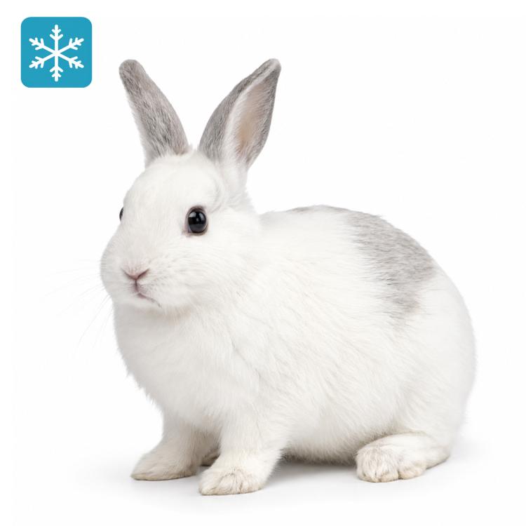 Hase/Kaninchen pro Stück gefroren ca. 500/700g