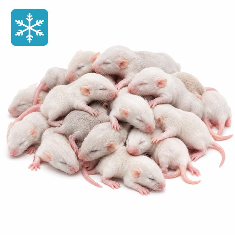 Maus Springer 6-10g - Frostfutter