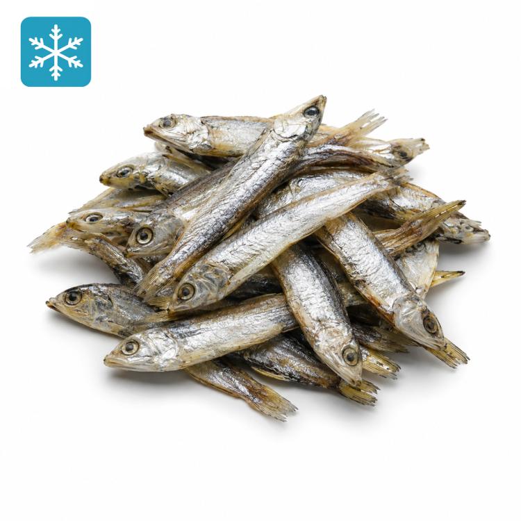 Sprotten lose ca. 8 cm 100g (Sprattus)