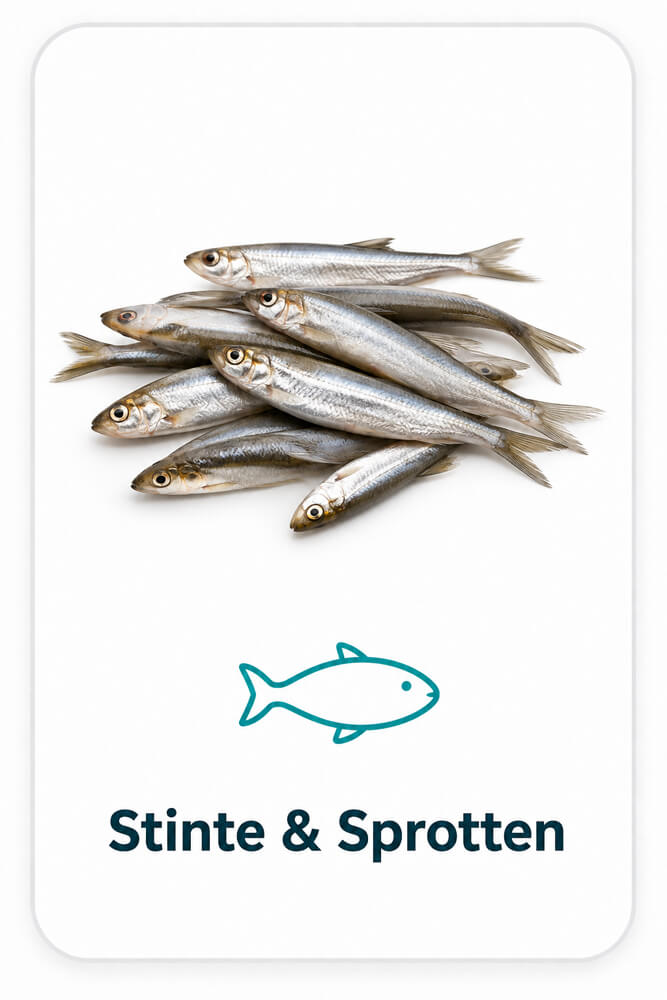 Stinte & Sprotten - Frostfutter | Futtertiere für Reptilien und Schlangen