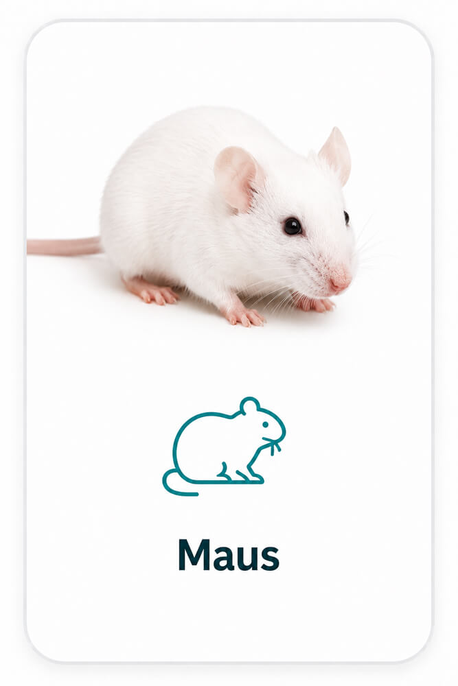 Mäuse - Frostfutter | Futtertiere für Reptilien und Schlangen